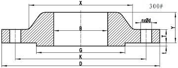 ASME B16.5 SORF 300LB