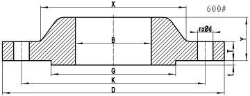 ASME B16.5 SORF 600LB