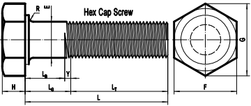 ASME B18.2.1 hex cap screw