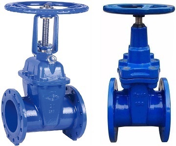 Cast iron gate valves