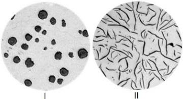 Microstructure of graphite in gray & ductile irons