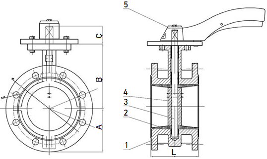 Drawing of flanged BFV.